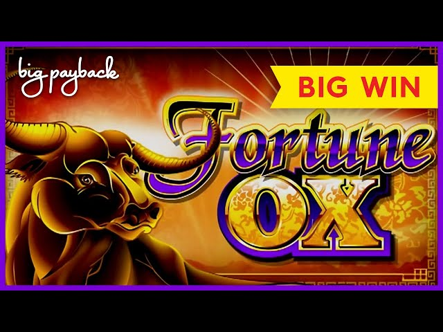 Discover the Wealth of Fun: Why You Should Choose Fortune Ox Slot缩略图